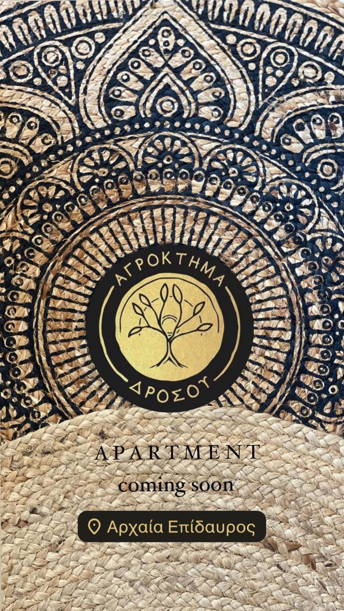 Agroktima Drosou Apartment Epidaurus Εξωτερικό φωτογραφία